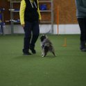 161122 0354