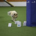 161122 0392