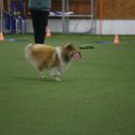 171122 0654