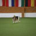 030423 0718
