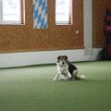 030423 0736
