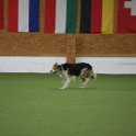 030423 0822