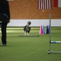 040423 0036