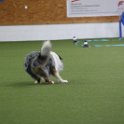 040423 0083