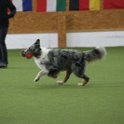 040423 0085