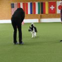 040423 0264