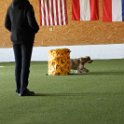 060423 0038