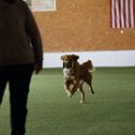 060423 0295