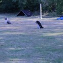 190725 0767