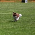 240526 0237