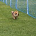 190426 0132