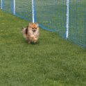 190426 0133