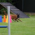 Klasse 3