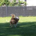 230526 0474