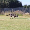 240826 0404