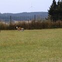 250826 1471