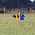 270826 1223