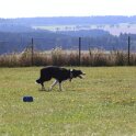270826 1239