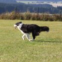 270826 0241