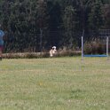 270826 0761