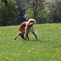 050526 0206
