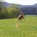 050526 0209