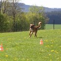 050526 0210