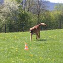 050526 0211