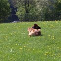 050526 0215