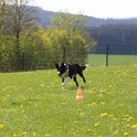 050526 0342