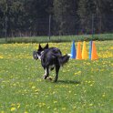 050526 0388