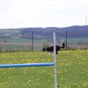 050526 0529