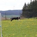 050526 0531