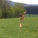 050526 0761