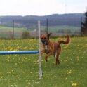 050526 0768
