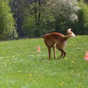 050526 0805