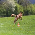 050526 0808