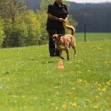 050526 0817