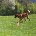 050526 0819
