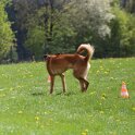 050526 0822