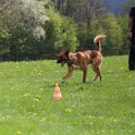 050526 0831