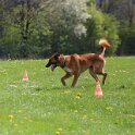 050526 0832