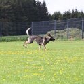 060526 1104