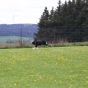 060526 1669