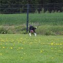 060526 1716