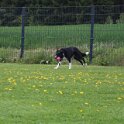 060526 1717
