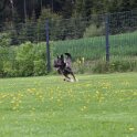 060526 1808