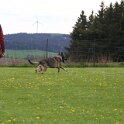 060526 1904