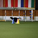 060526 2008