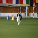 060526 2013